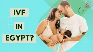 8 Reasons to Choose IVF in Egypt - Total Cost and Procedure - The Circle Care
