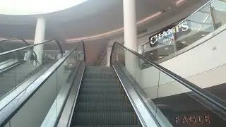 KONE Double-File Escalators at Fashion Centre at Pentagon City, Arlington, VA