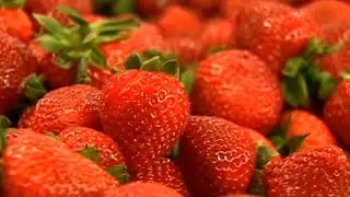 Video: Smolak Farms manager gives tips on growing own strawberries in Massachusetts