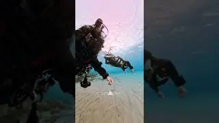 ребризер Liberty Sidemount от @divesoft
