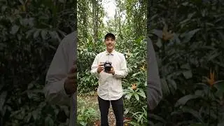 vdo💟23 #bear #jungle #dangerous #world Ai #music @ARKSTUDIO075 #op #ytshorts #feedshorts #ai