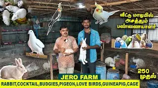 வீட்டு மாடியில் அசத்தும் பண்ணையாளர் | Integerated farm | Sales | Jero Farm | Vlog Tamizha