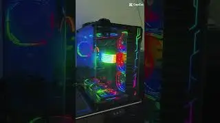 Meu novo 
