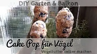 Vogelfutter selber machen - Cake Pop f&uuml;r V&ouml;gel