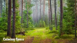 Piano Music for Stress Relief, Relaxation, and More! ☢ Calming Space