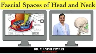 Odontogenic space infection part-2 - fascial spaces of head and neck