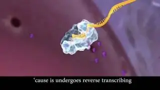 HIV Life Cycle Music Video