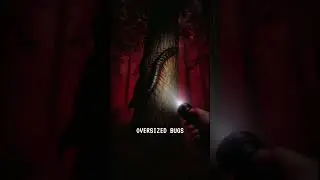 Would You Survive Your Door    #backrooms #foundfootage #liminalspaces #horror