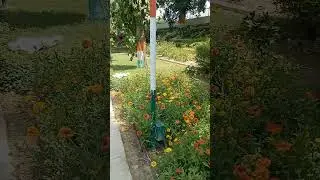 Kargil Shaheed Smarak Park Lucknow || Kargil Status || shaheed smarak Park status ||