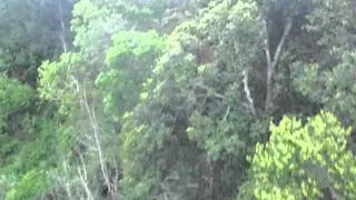 Digos Zipline (Ronel and Mhedz)