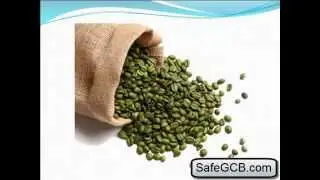 Green Coffee Bean Extract GCA THE BEST Green Coffee Bean Extract GCA