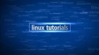 kali linux