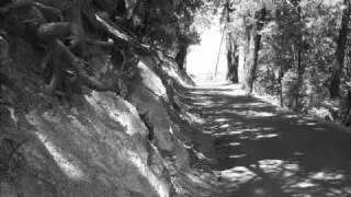 Free System Projekt - Narrow Lane ( part I )