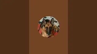 Shiro's world is live