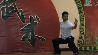 Zhou Jia Quan Dr. Royce Ang Boon Seng 周家拳 - 洪榅勝博士 (5)