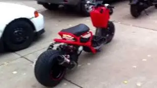 stock and stretched ruckus
