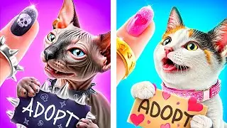 Chats du Bien vs du Mal ! Comment Fabriquer des Maisons pour Animaux