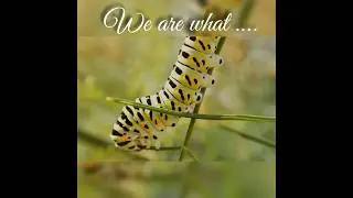 Believe in yourself &hellip;#motivation #positivelessons #lifelessons