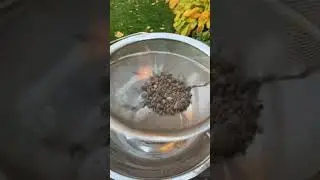 DIY Dirt | Basing | Dioramas |wargaming