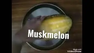Mashmelon Chibdi