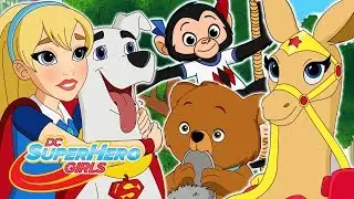 Los 10 mejores momentos de los animales | DC Super Hero Girls Latino America