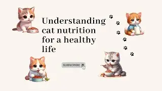 Feeding your feline : Understanding cat nutrition for a healthy life