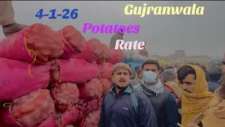 potatoes rate in Gujranwala Abbasbutt140-k4i check and pray for All farmers 