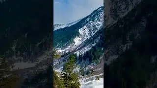 Swat snow#shorts  #shorts