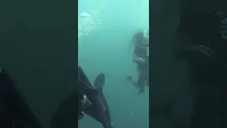 Deep Underwater Cave!