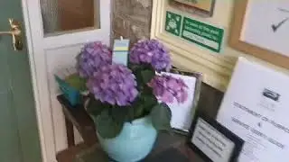 Life goes on at Fir Villa residential home