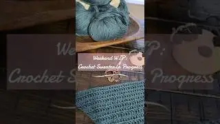 Weekend WIP Starting My Crochet Sweater | First Look at My Latest Project!