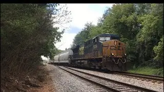 CSX #5239 short hall train horn duets with dewalt train horn