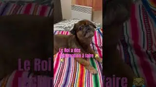 Ma&icirc;tre Zou a des choses a dire🤣