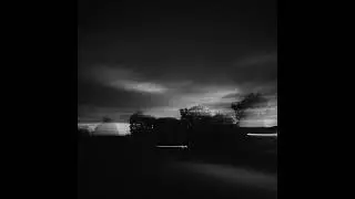 Cooper Alb&egrave;r - You Left the Forest