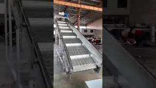 Stainless steel chain plate conveyor whatsapp+8618701750251 #chainconveyor #conveyor