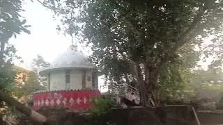 temple in sec tor enter gate tree fallen down by brezze wind