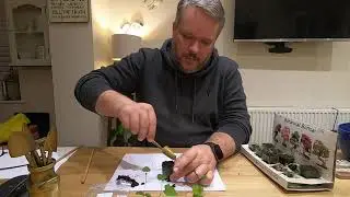 Botanical Bonsai Kit Episode 2