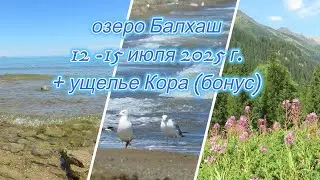 Поездка на озеро Балхаш 2025 год.