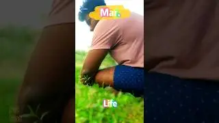 4k short || editing blur || @sirisha150 reels Facebook video 🙏😈#viral #shorts