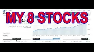 MY 8 STOCKS JUNE-JULY 2017