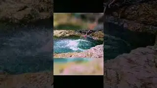 moolakona falls#shorts