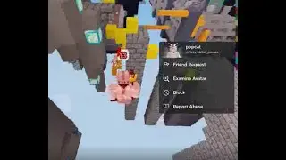 BEDWARS HACKER IMAGINE (fizzyrabbit_potato)