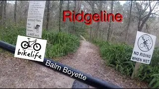 Ridgeline MTB Trail at Balm Boyette Scrub Preserve