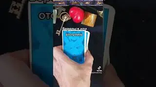 Бороться или отступить #shorts