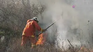 Predicting Wildfires in Morocco  A Hybrid neural network architecture