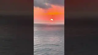MSC Seascape