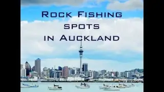 The best land-based fishing spots in Auckland, New Zealand