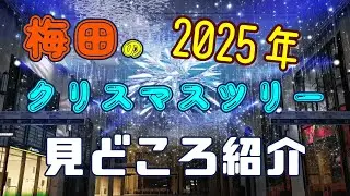 梅田のクリスマスツリー見どころ　2025年版