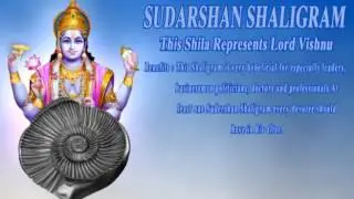Benefits of Sudarshan Shaligram Shila