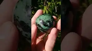 Oh My...You're Practically Glowing ;) #Sphere #Crystals #Fluorescent #Minerals #Nature #Vibes